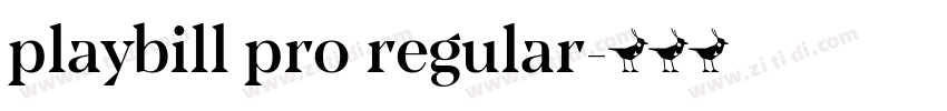 playbill pro regular字体转换